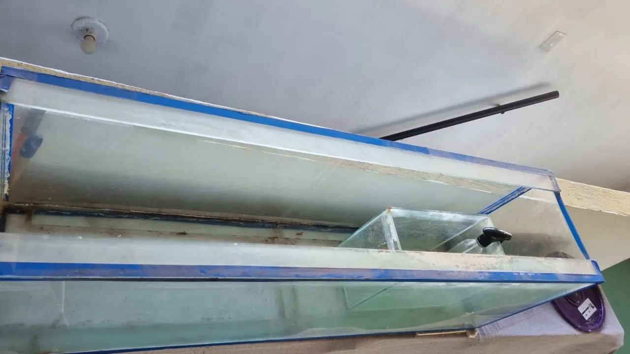 Aquário retangular  - Foto 2