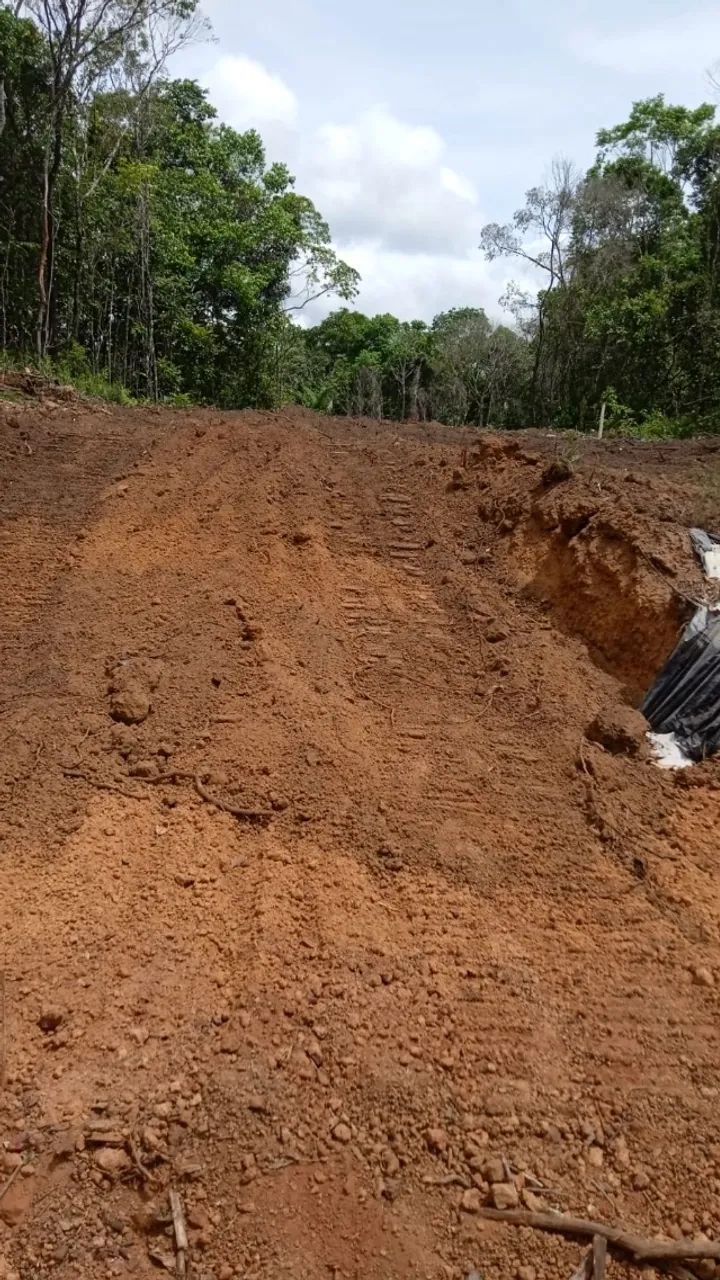 Vendo sitio 10.000 m2 com igarape - Foto 3