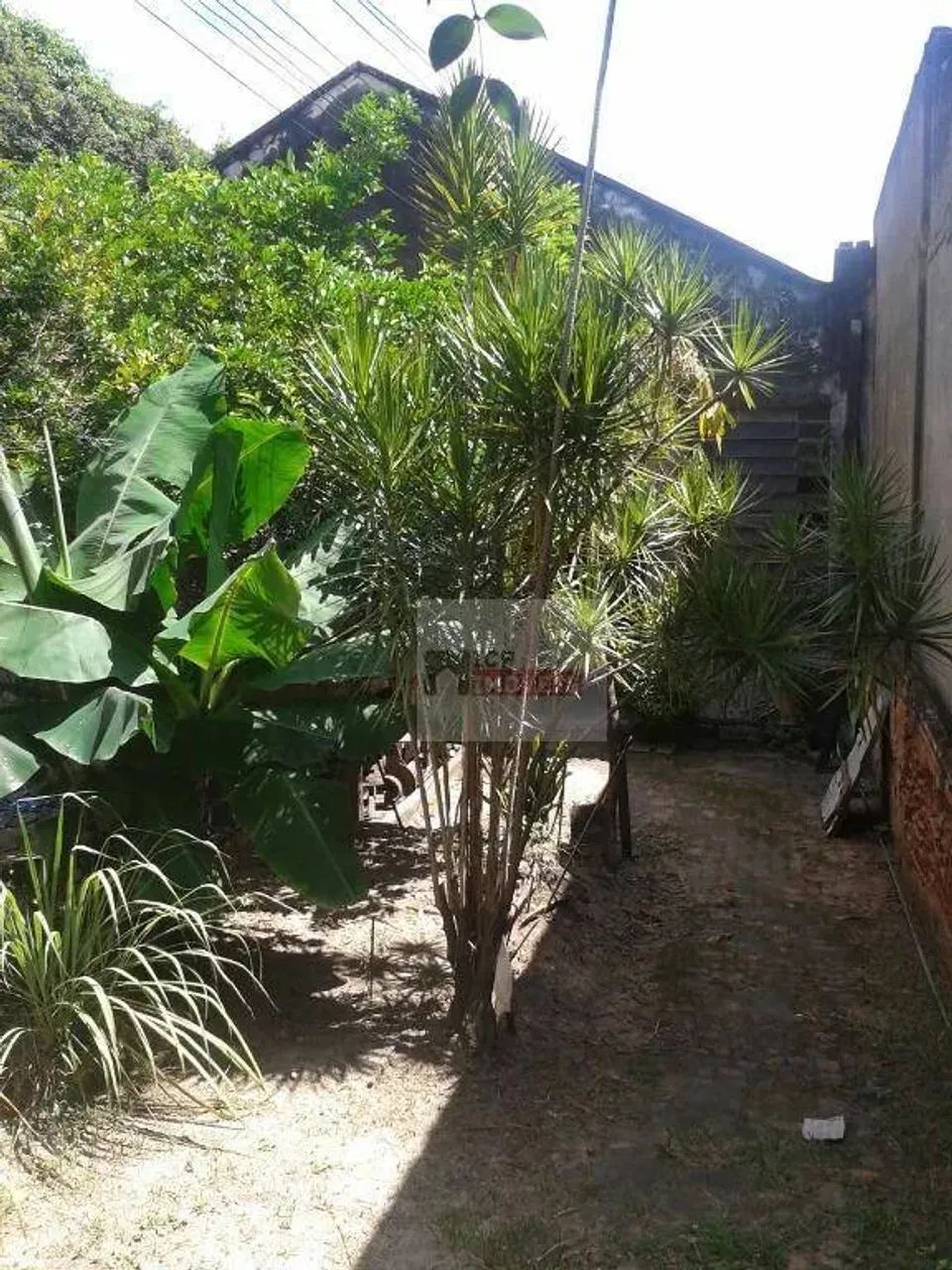 Terreno residencial à venda, Centro, Americana. - Foto 3