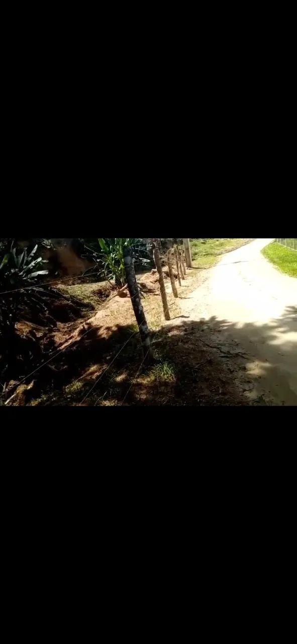 Chácara  - Foto 2