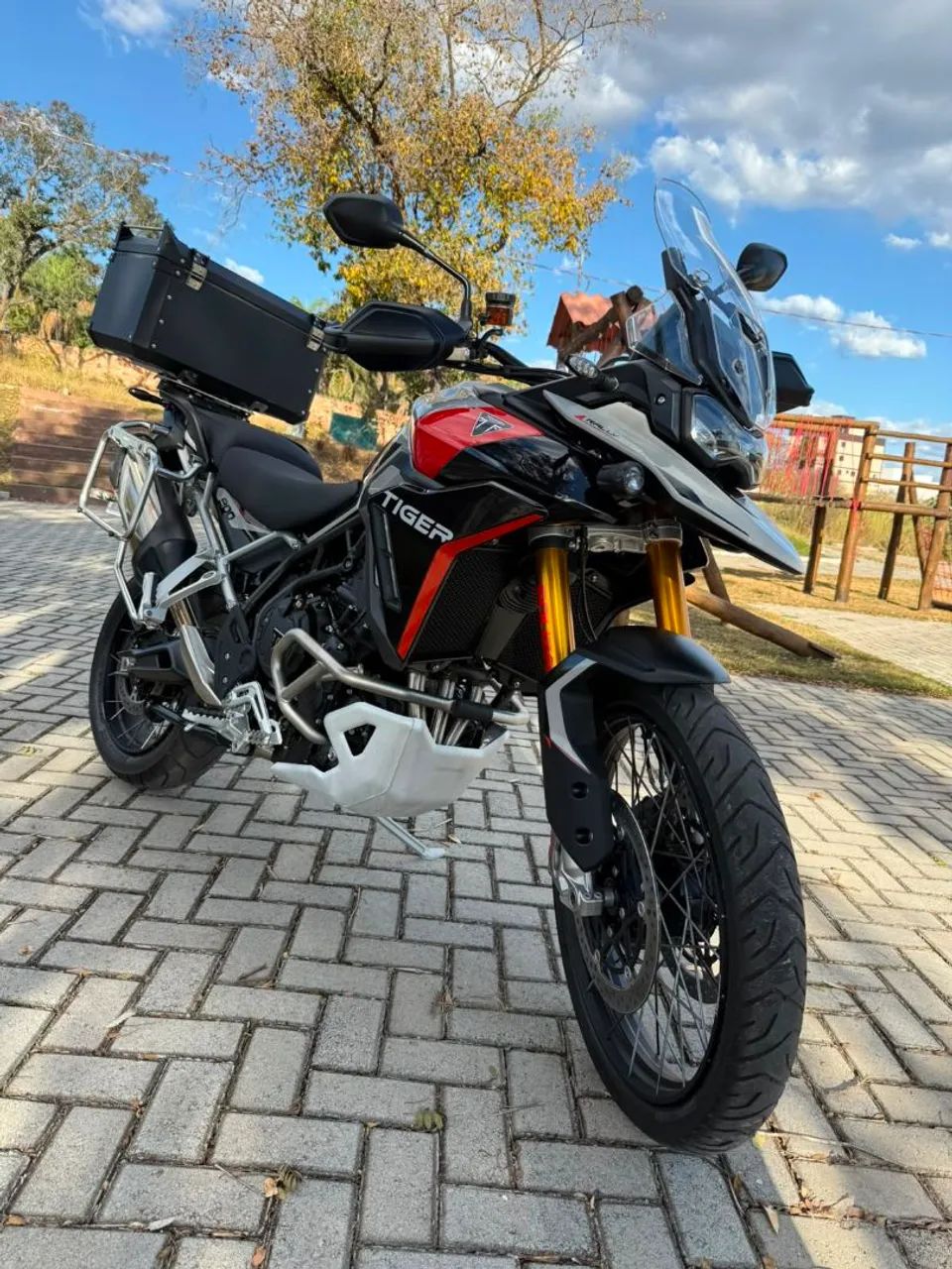 TIGER 900 rally Pro - Foto 2