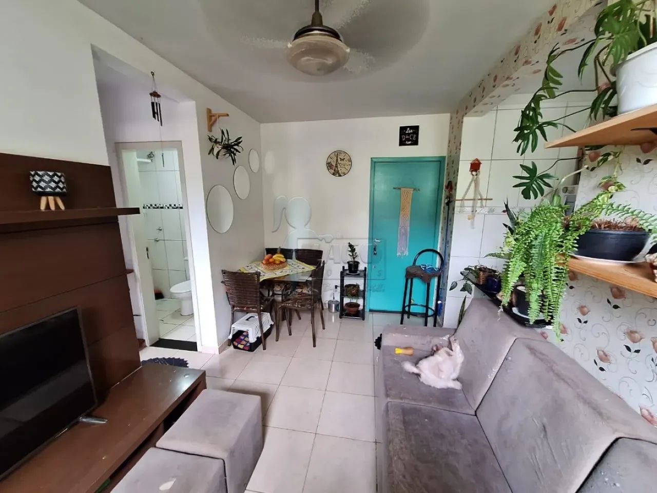APARTAMENTO NO PARQUE ROCHESTER - Foto 2