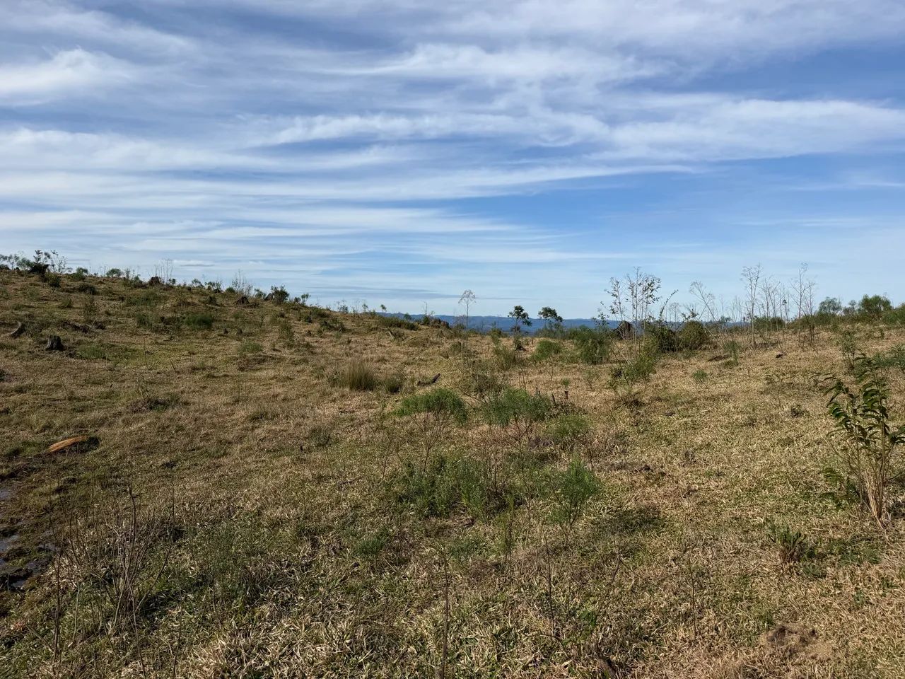 ANITÁPOLIS/SC - Um imóvel único na Serra Catarinense  - Foto 4