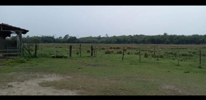 Terreno/Área de 650.000m2  em Itaguai/Seropédica RJ - Foto 2