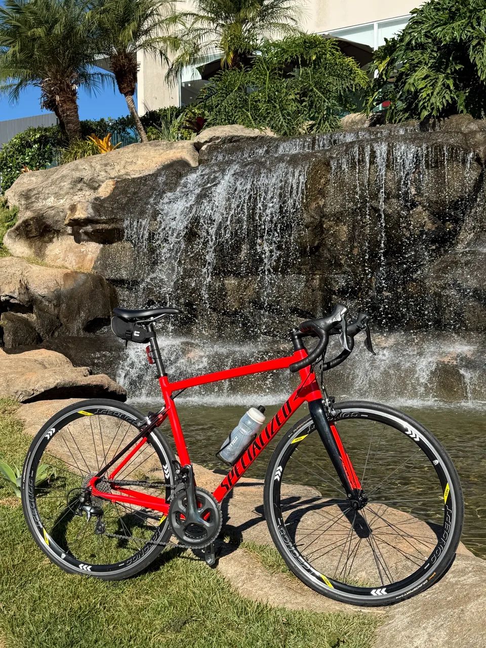 Bike Speed Specialized Allez 