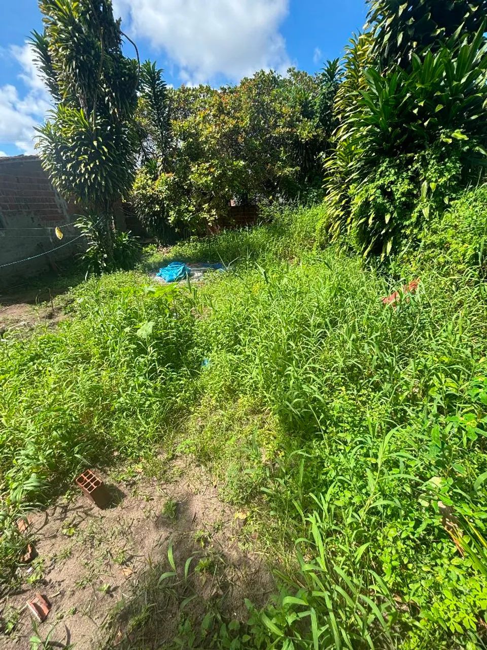 Terreno em Marcos Moura  - Foto 4