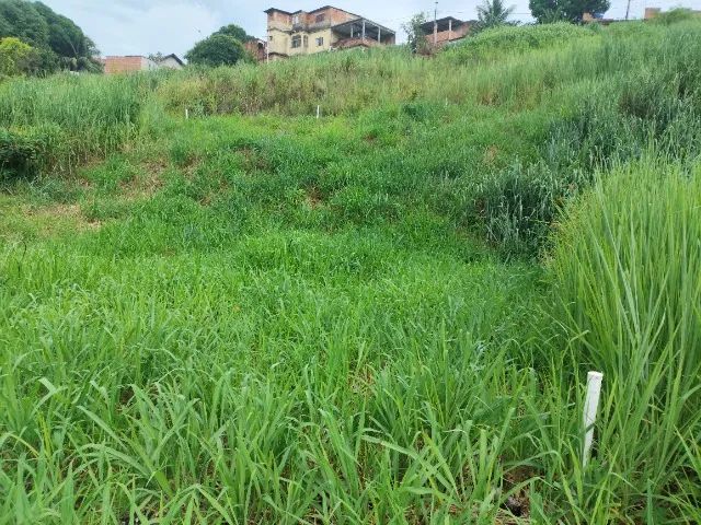 Vendo ou troco Terreno com 350m² - Foto 3