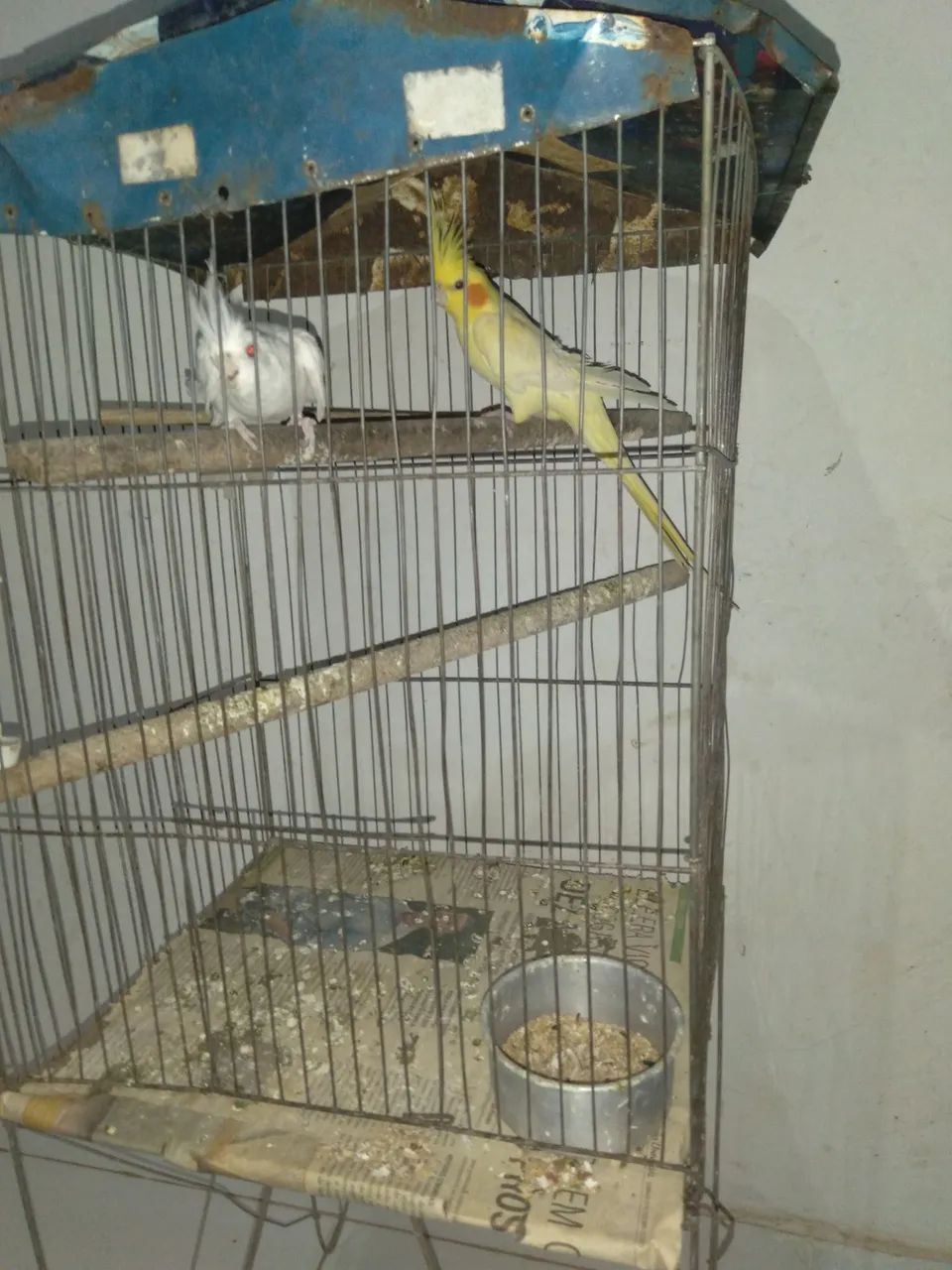 Vendo