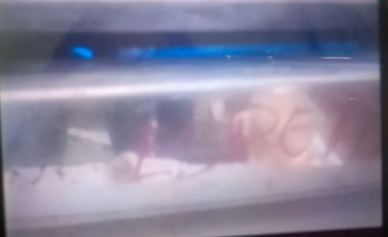 Vendo  uma chapa di tapioca ir ispetihofoni * - Foto 3
