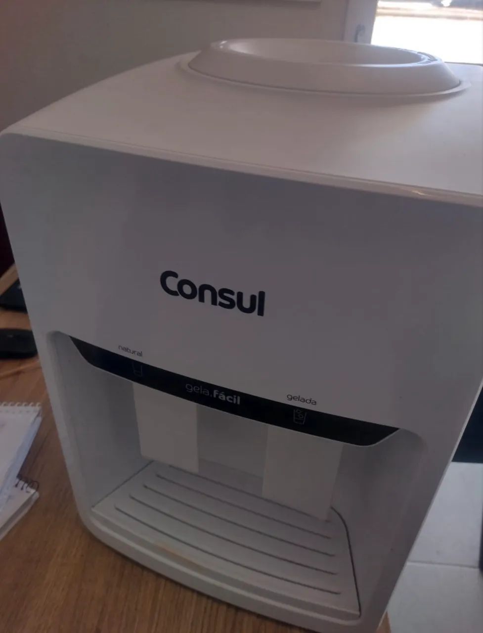 Gelagua cônsul 