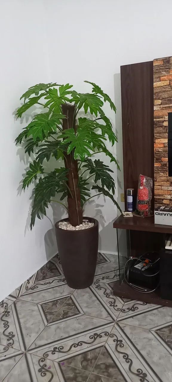 Desapego - Foto 3