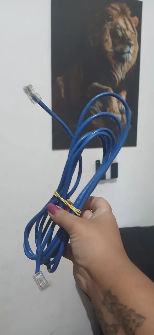 Cabo Internet 3,10m