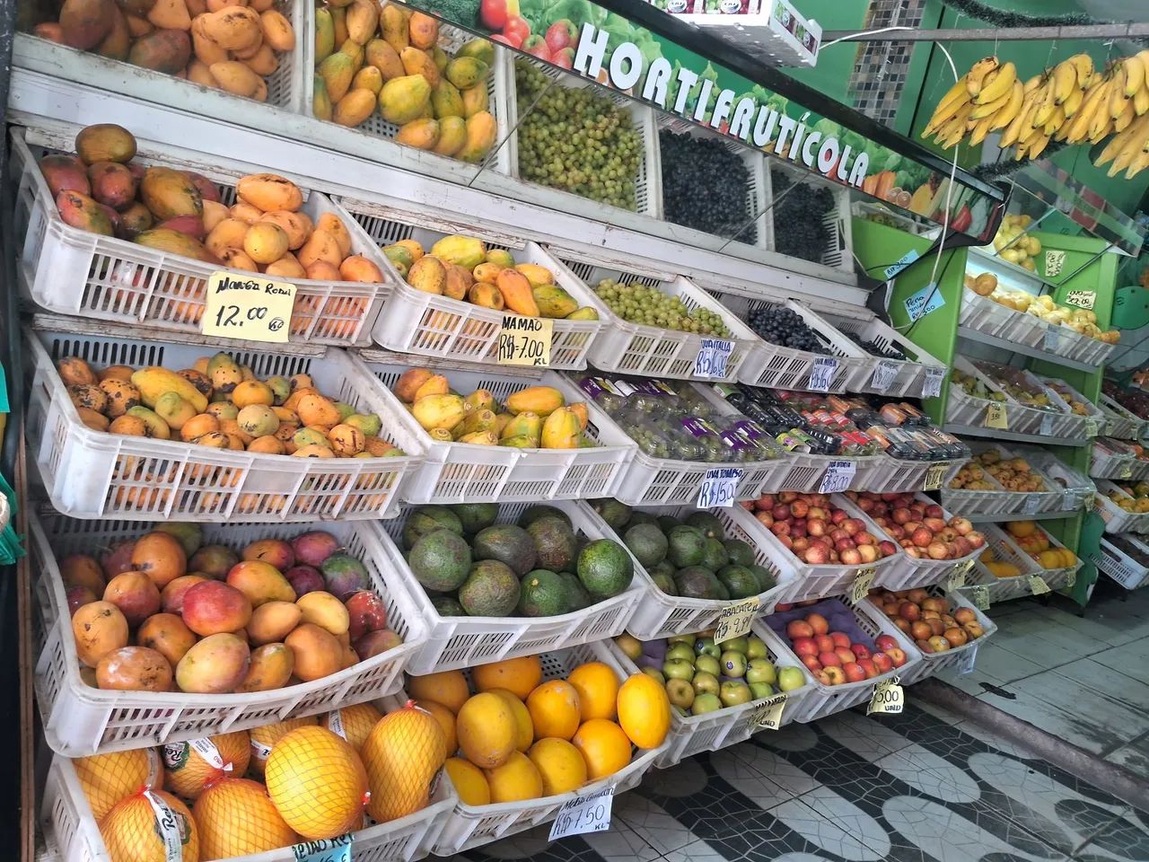 Vendo HORT frutt