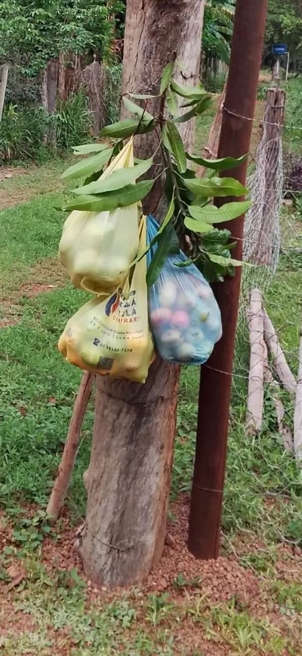 Vendo Chácara São Sebastião DF - Foto 4