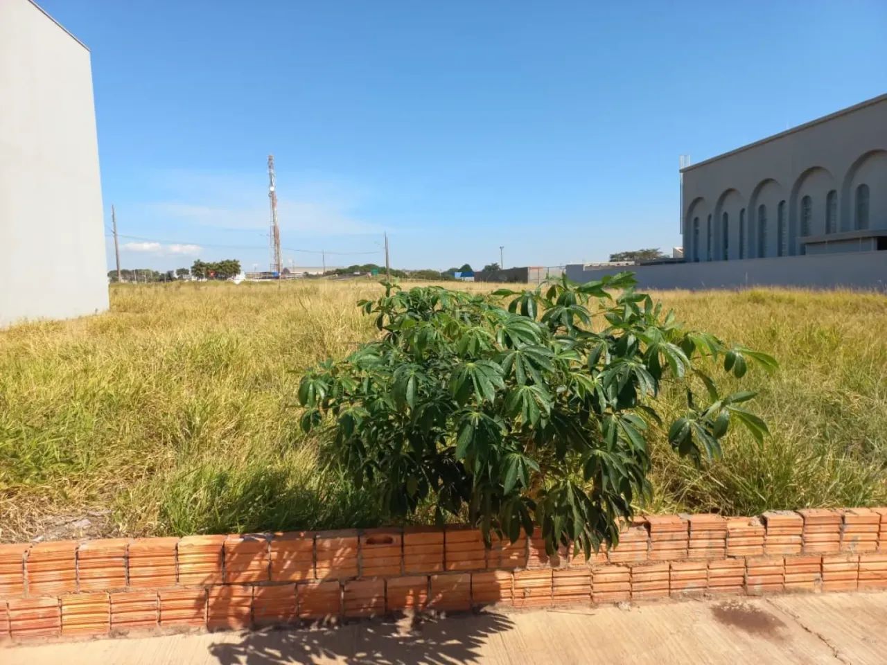 Terreno Padrão em São Manuel