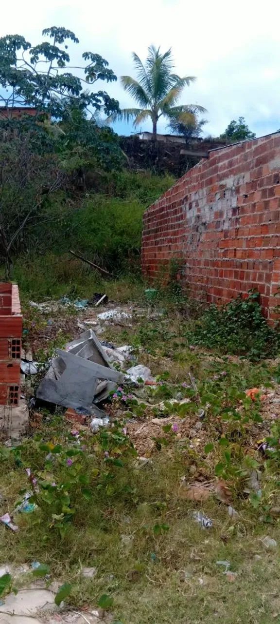 Terreno no coqueiral  - Foto 4