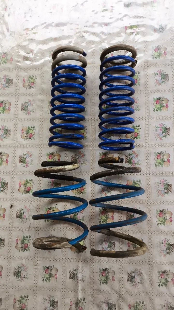 Molas esportivas