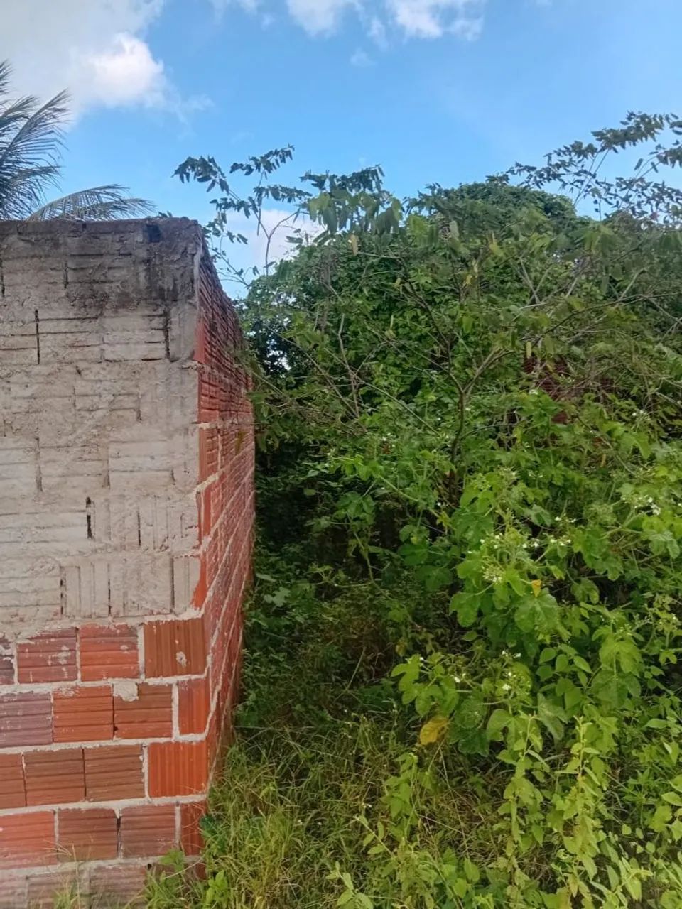 Tereno Em Bom Jesus  - Foto 2