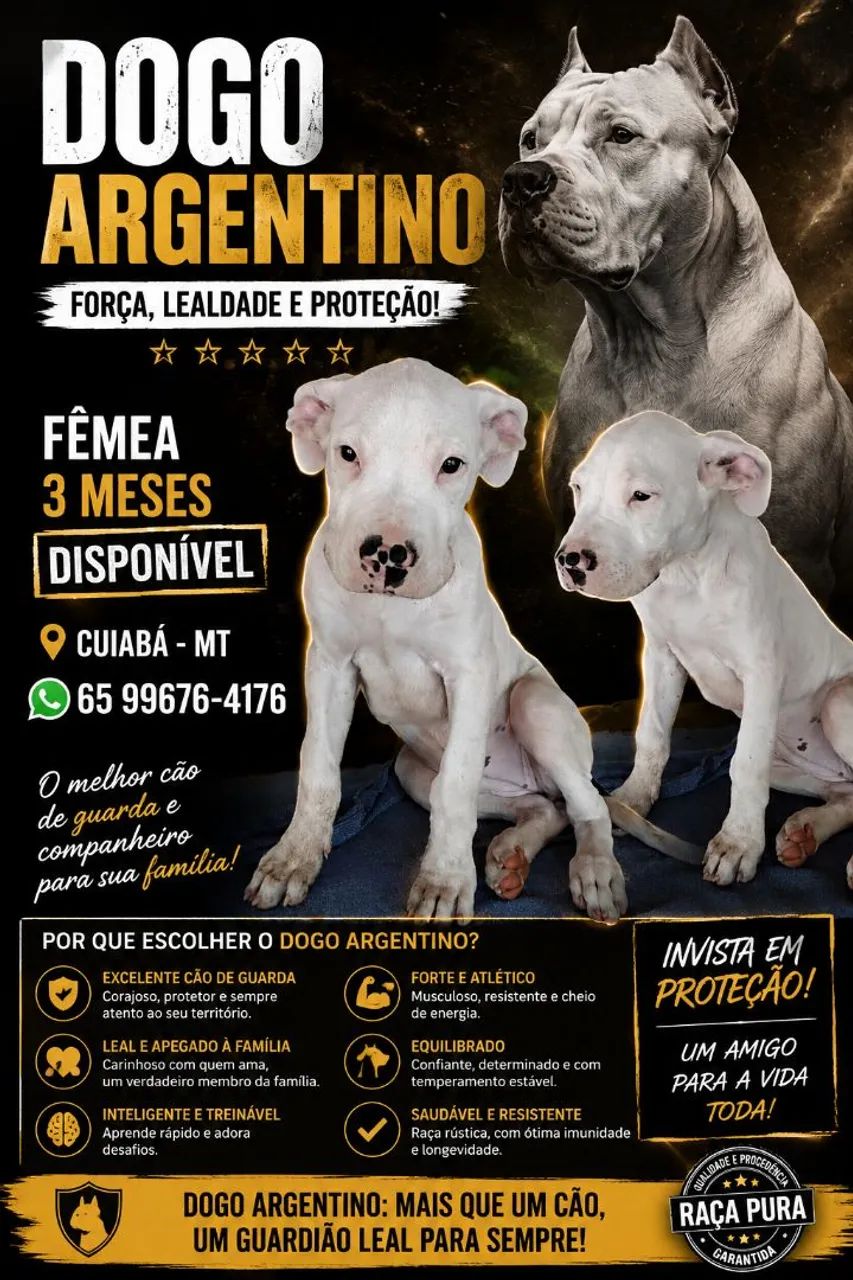 DOGO ARGENTINO  - Foto 3