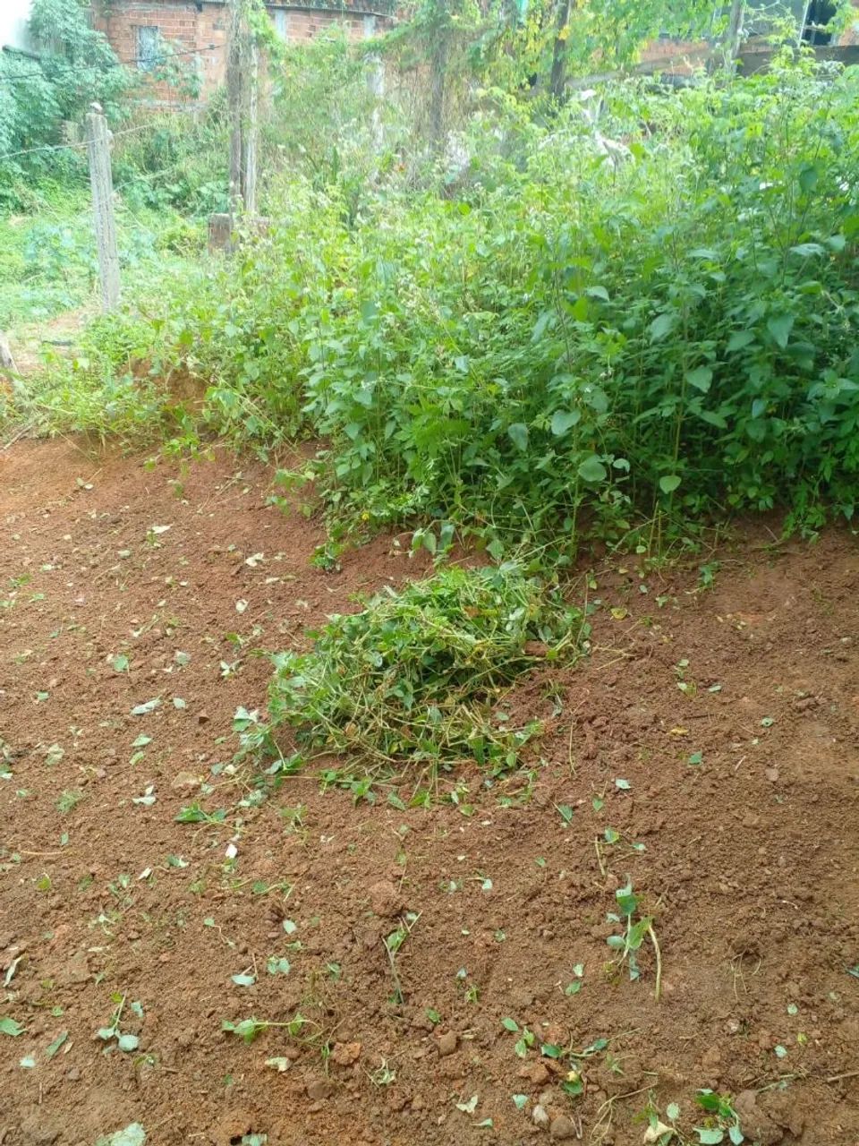 Terreno  - Foto 3