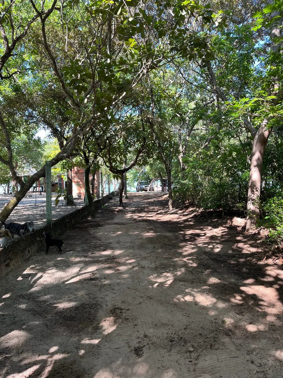 Vendo chácara na beira do lago - Foto 4