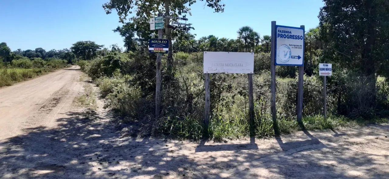 CHÁCARA EM PORTO MURTINHO - MS - Foto 2