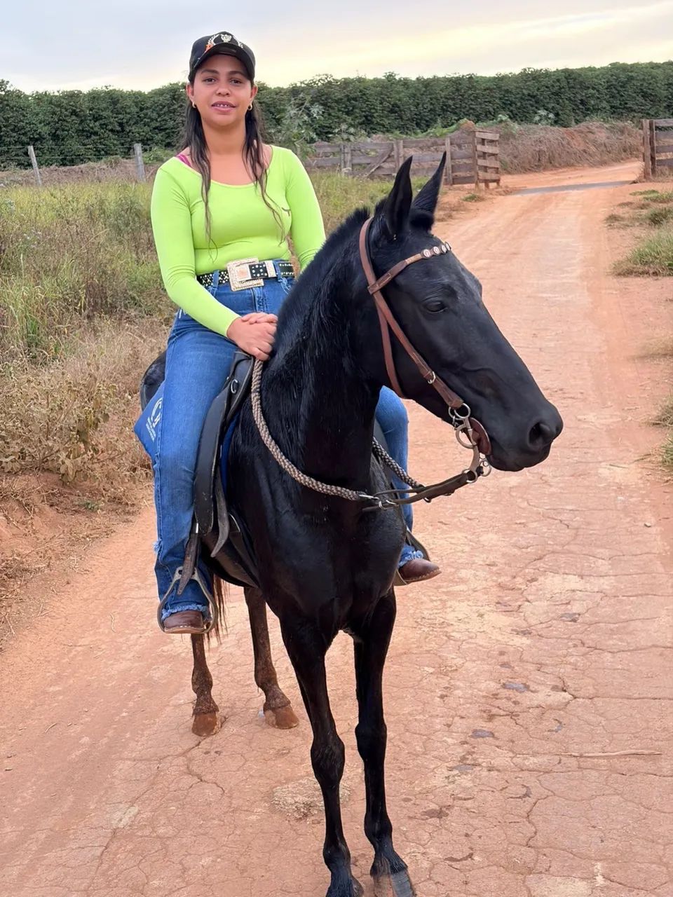 Égua machadeira - Foto 2