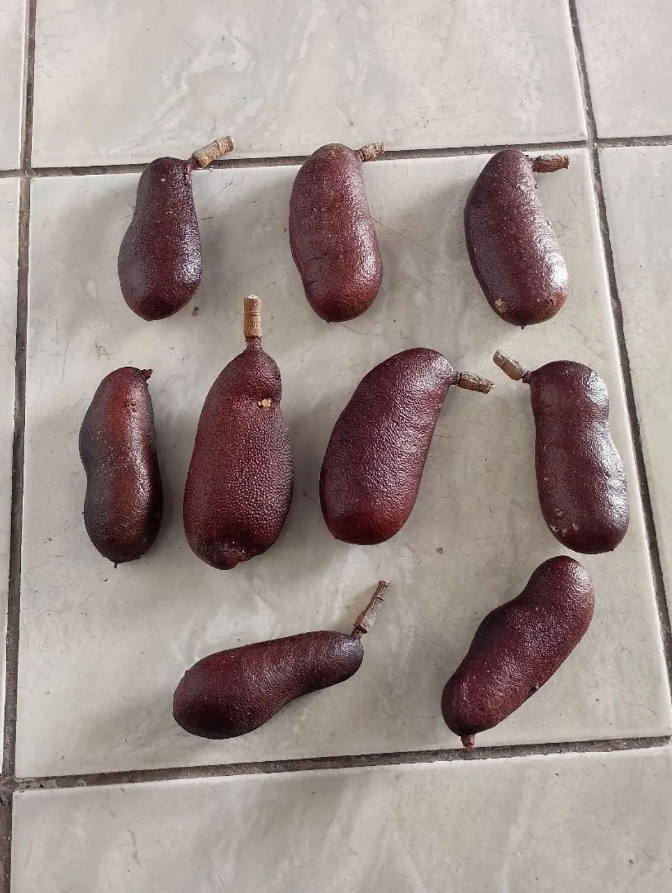 FRUTO JATOBÁ  - Foto 2