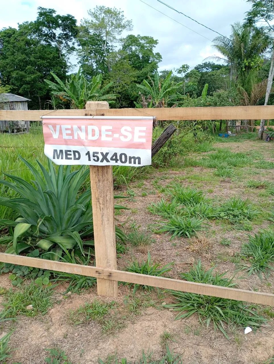 Vendo terreno na estrada do mutum km3  - Foto 5