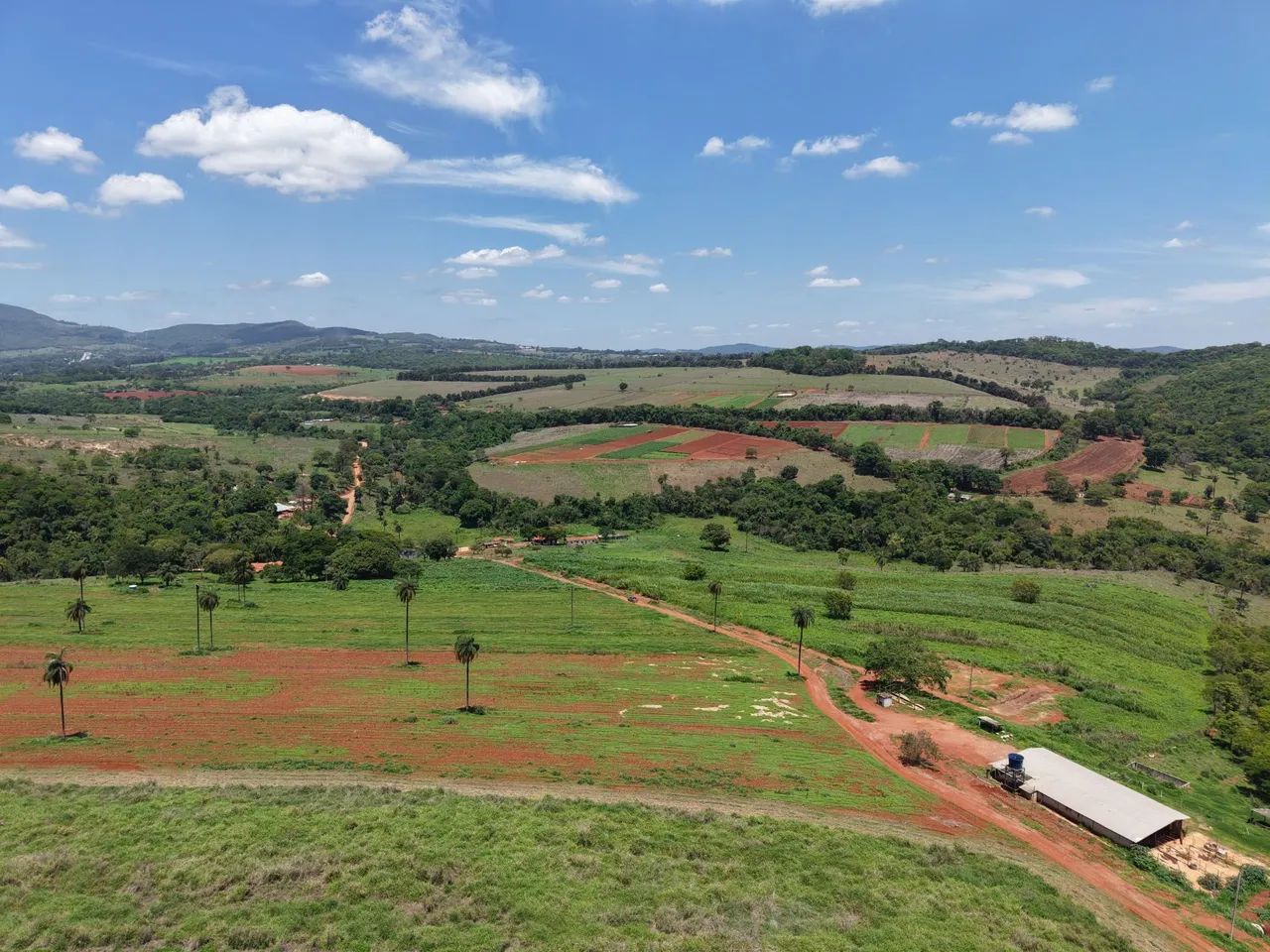 Fazendinhas na divisa de florestal 