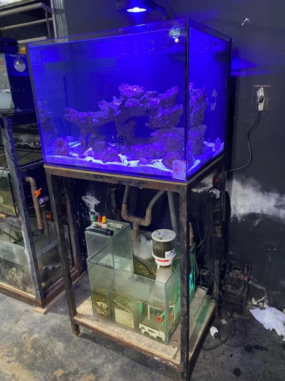 Aquário Completo  - Foto 4