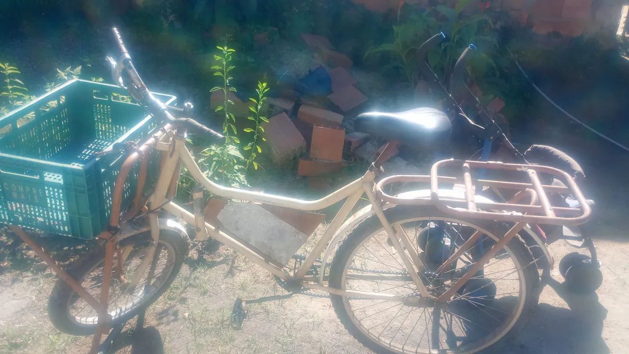 Vendo bicicleta de carga 