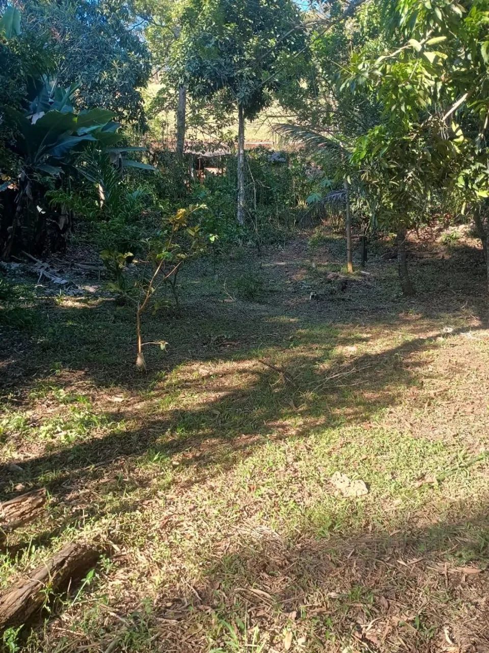 Vendo um sítio - Foto 2