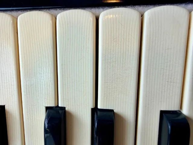 Acordeon Todeschini Super 5 - Foto 5