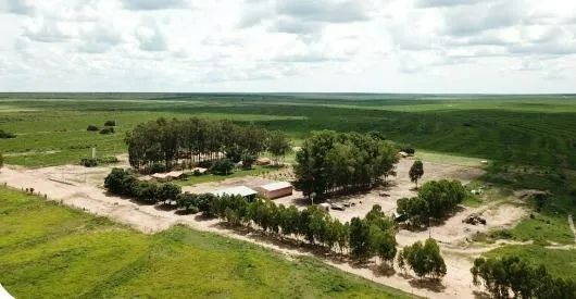 fazenda - Centro - Baianópolis - Foto 2