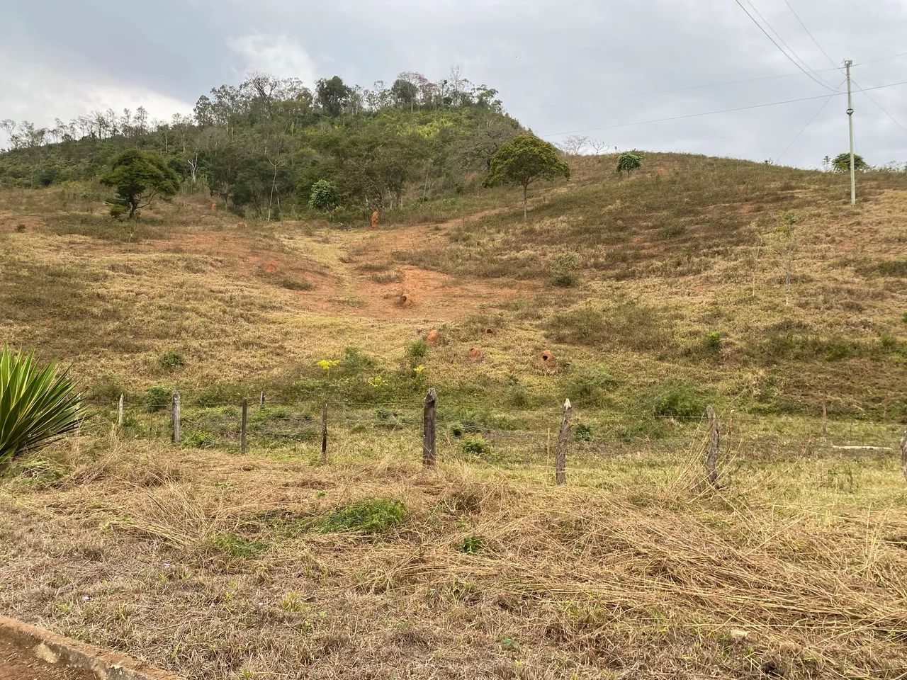 Venda - Foto 3