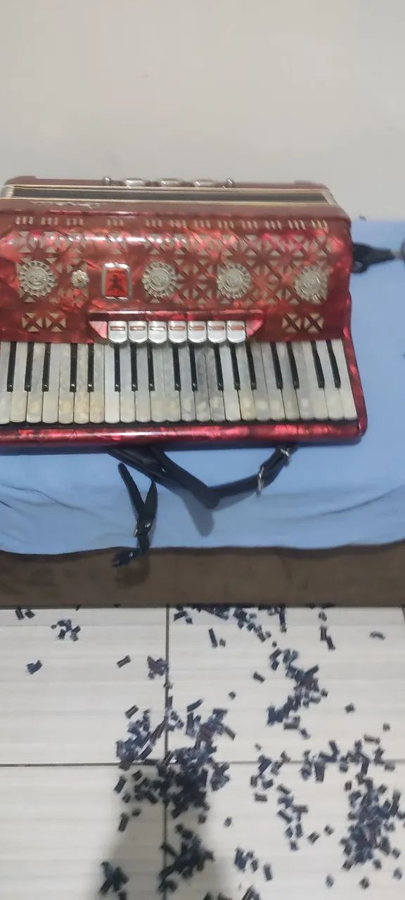 Acordeon sonelli 120 bx - Foto 2