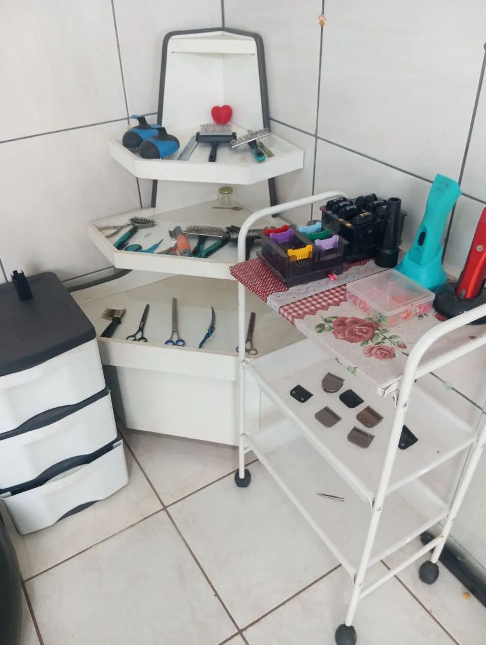 Foto - Uberlândia - Santa Mônica