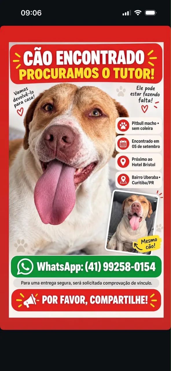 Pitbull 