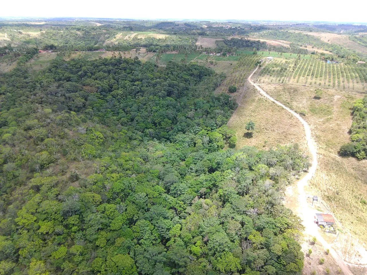 Imóvel para venda com 30250 metros quadrados com 4 quartos - Foto 4