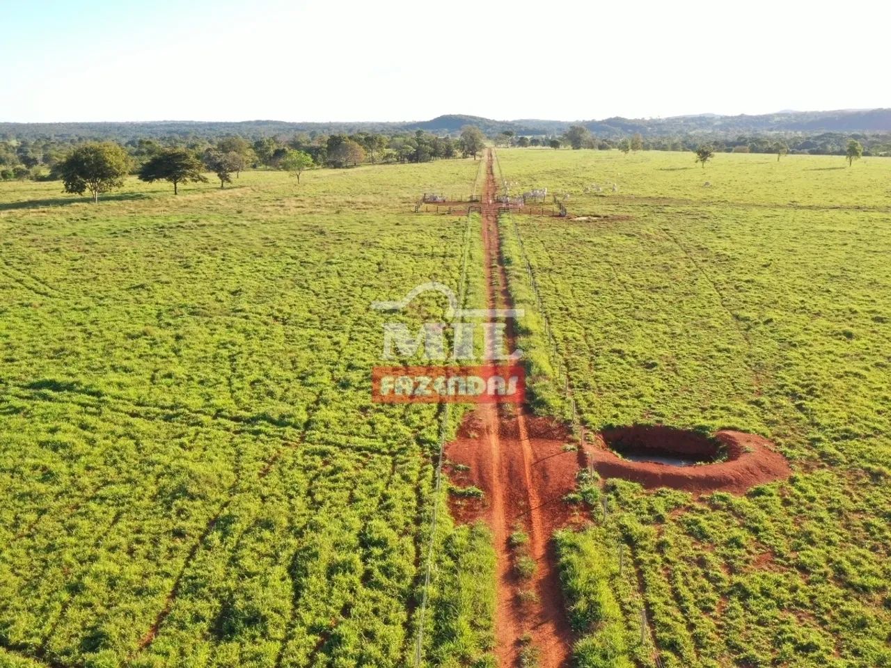 Fazenda Extra em Amaralina-GO. (150 Alqueires) - Foto 2