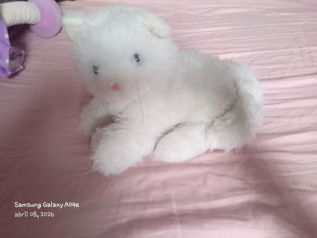 Gatinho Deitado _ Guaianazes