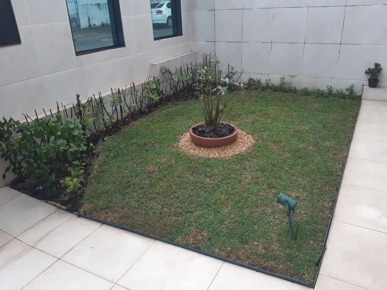 Jardinagem sou jardineiro  - Foto 2