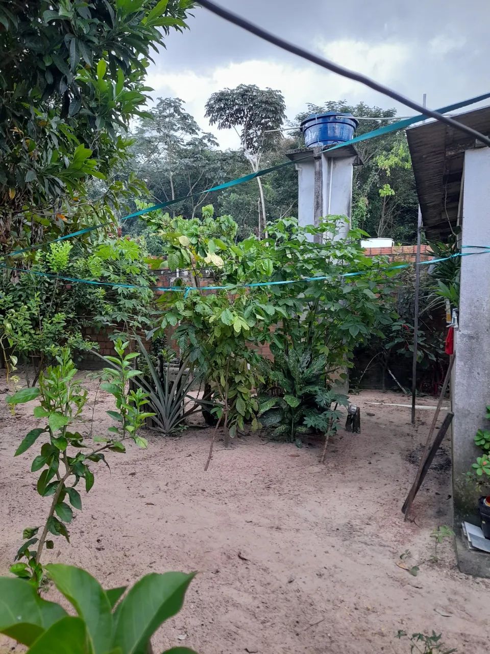 Venda de casa no icui - Foto 4