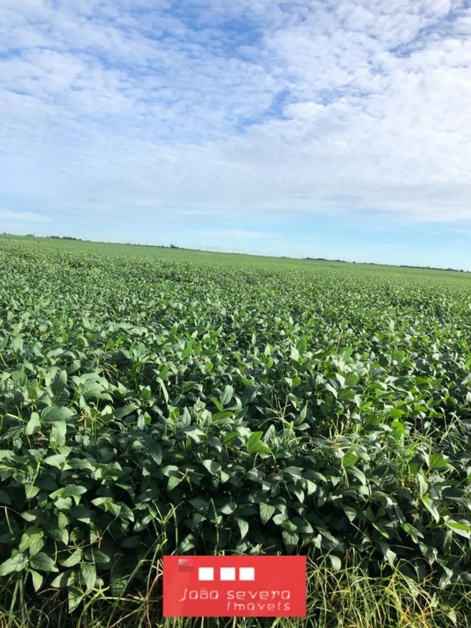 Fazenda para Venda em Britânia