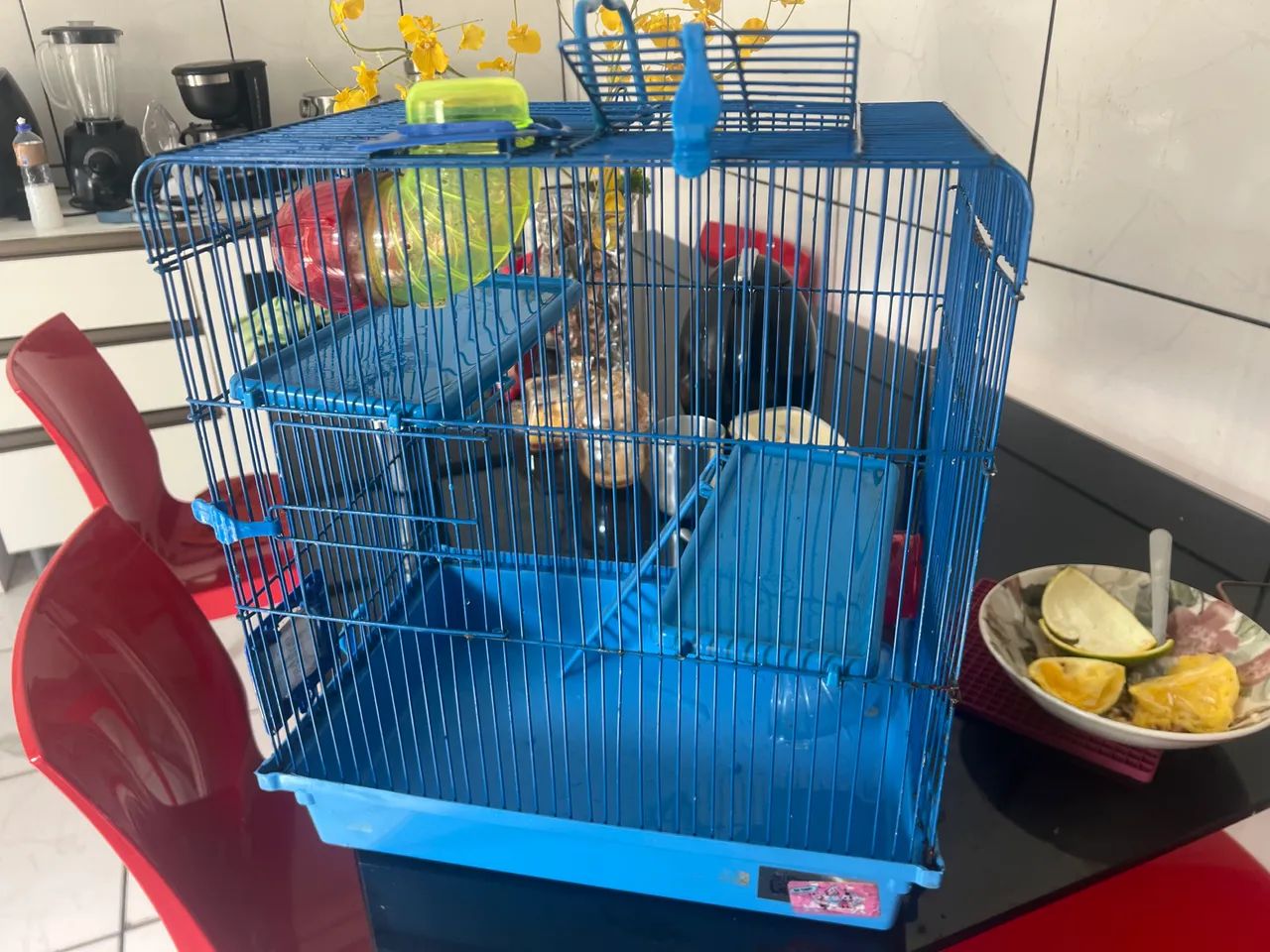 Gaiola de hamster 