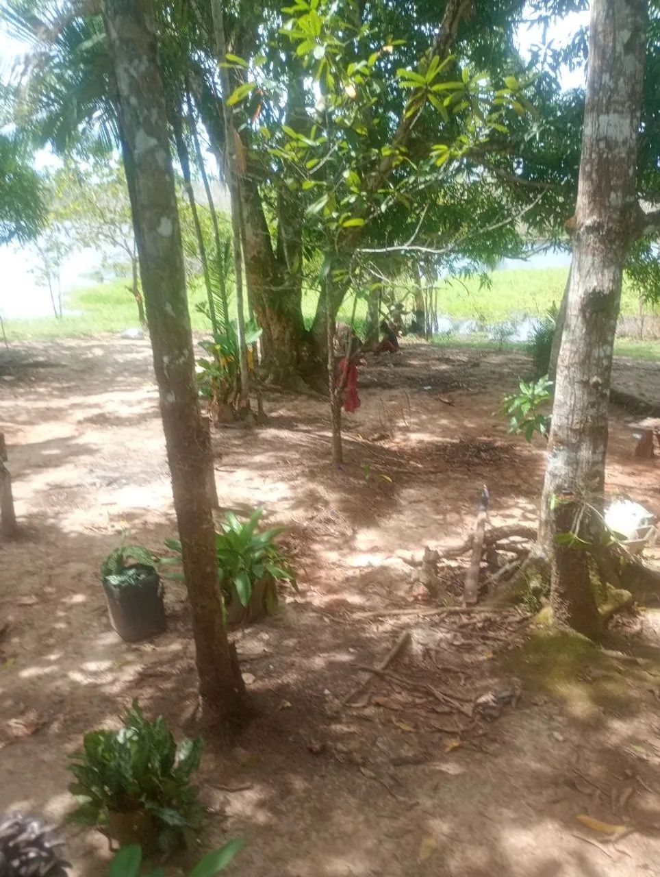 Sítio  no interior do carreiro castanho   vendo  e troco  - Foto 2