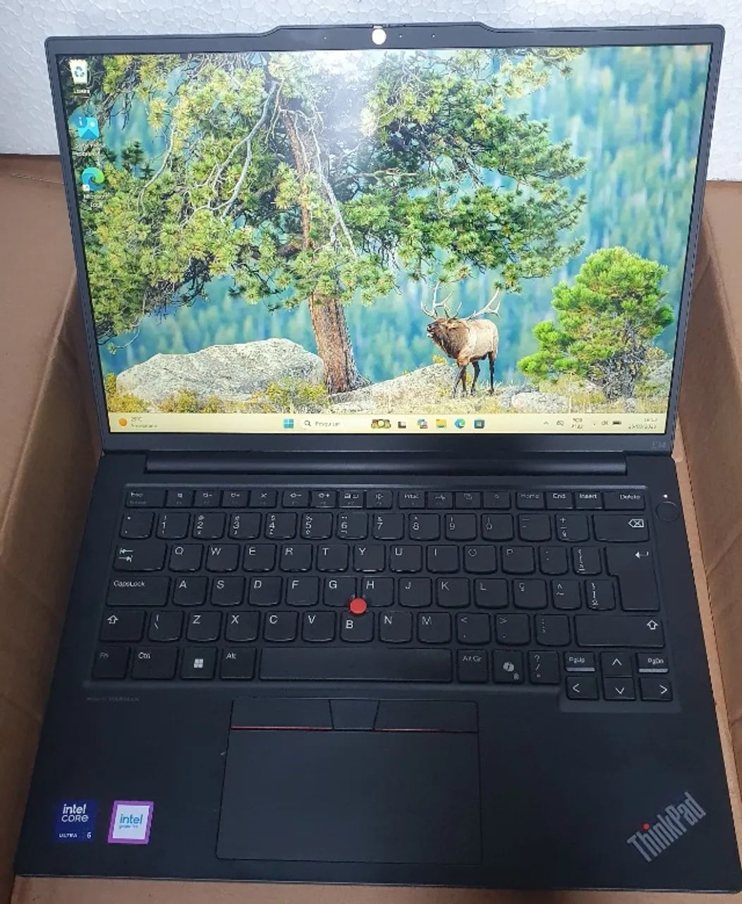 Notebook Lenovo Thinkpad E14 Core Ultra 5 125u 8gb 256gb