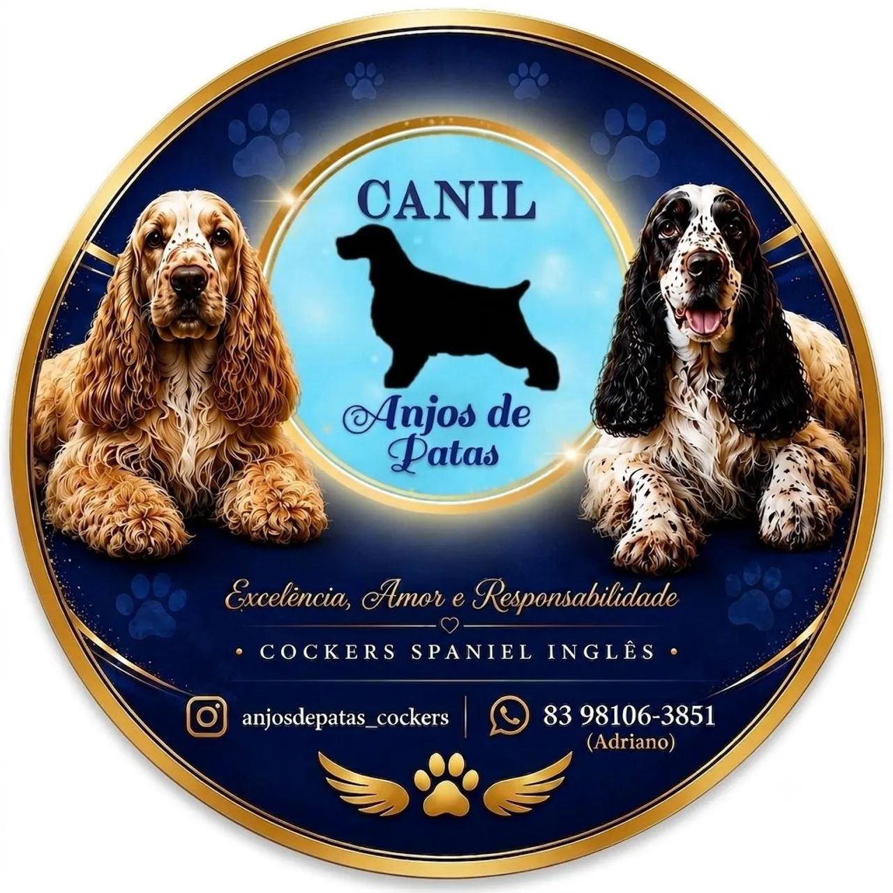 Filhotes de cocker 