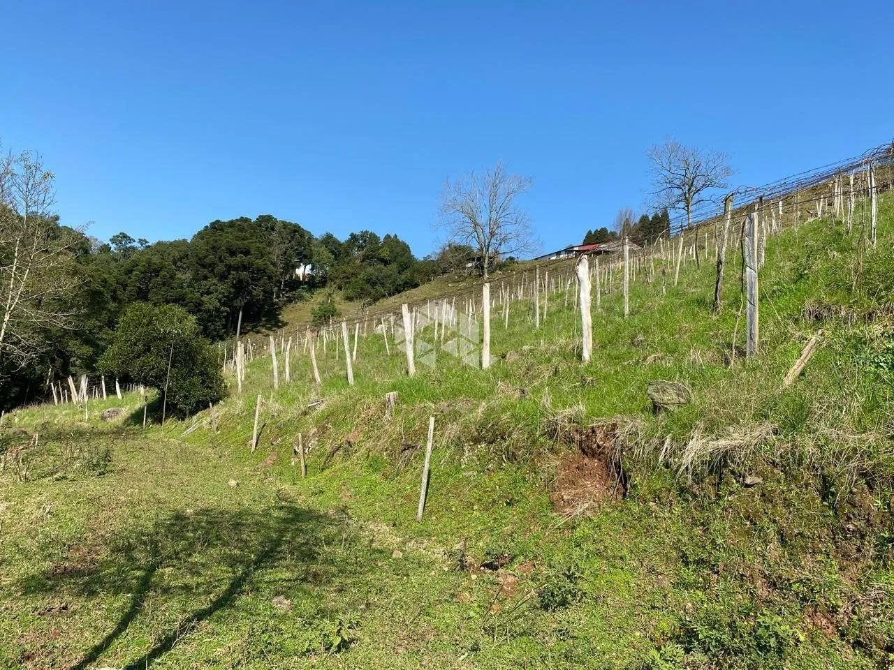 Área de Terras rurais - Foto 5